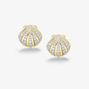 Seashell Studs