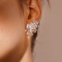 Nebula Earrings/Clips