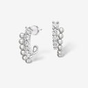Sparkle Earrings/Clips
