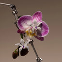 Crystal Orchid Earrings