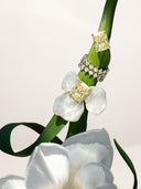 <em>BLOSSOM Collection</em>