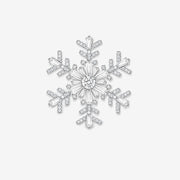 Valentine’s Exclusive Snowflake Brooches